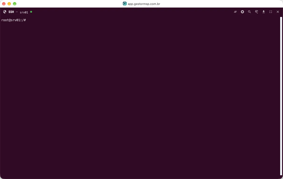 Terminal SSH remoto aberto em um servidor Linux